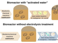 Figure 3. Bioelectrochemical reactions in the system with ‘activated water’ and the experiment without electrolysis treatment during the initial period.