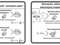 Figure 4. Comparison of bacterial bioprocesses in reactors with ‘activated water’ and without electrolysis treatment.