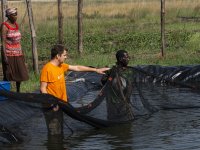 1. Jan Stas during the monitoring harvest of the fishpond with dam liner (Photo by Michal Černý)